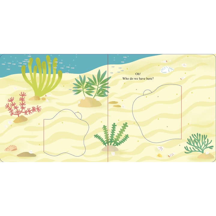 Schiffer Publishing - Wholesale Preschool Book (3-5) - Who Is Hiding in the Sea?3