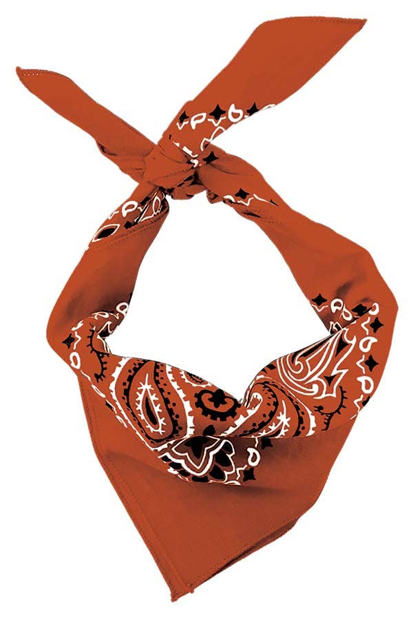 The Bandanna Company - Wholesale Bandana - Unisex - Bandanna - 22" MADE IN USA - Burnt Orange Paisley1
