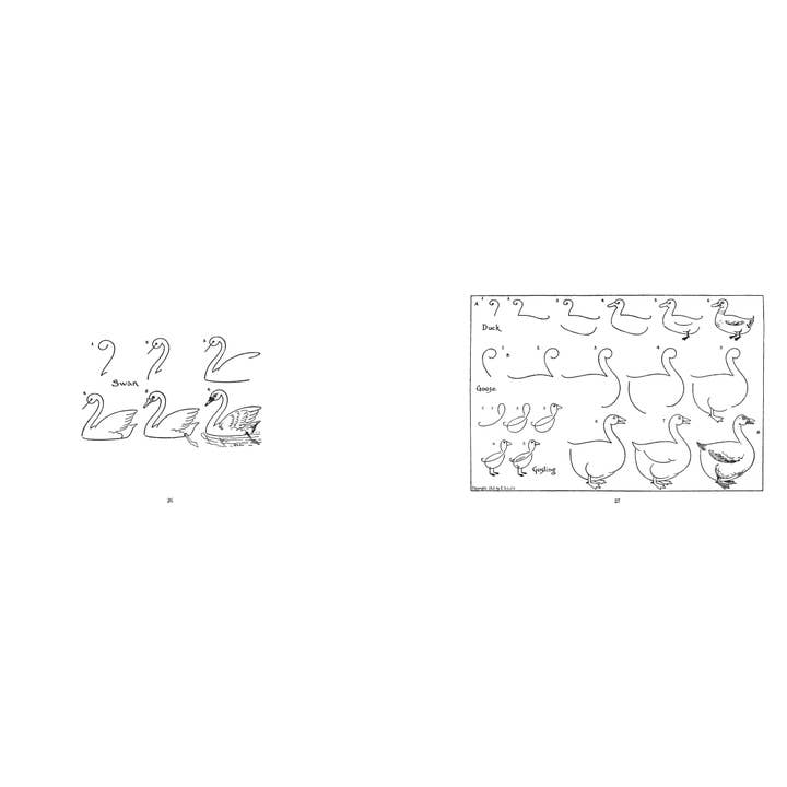 Applewood Books - Wholesale Book - Adult - What to Draw and How to Draw It
