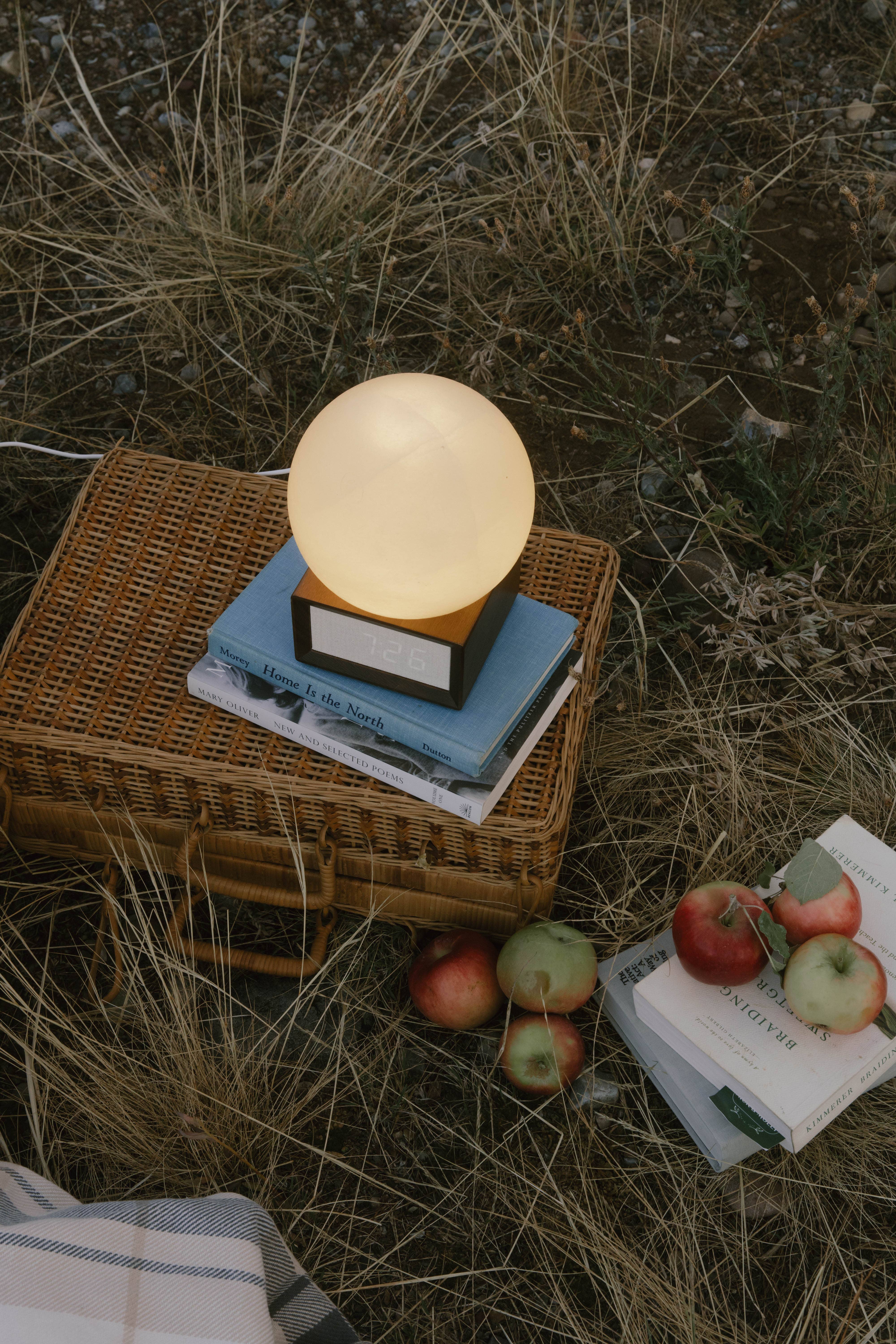 Rise Centered - Wholesale Alarm Clock - The Original Sunrise Alarm Clock24