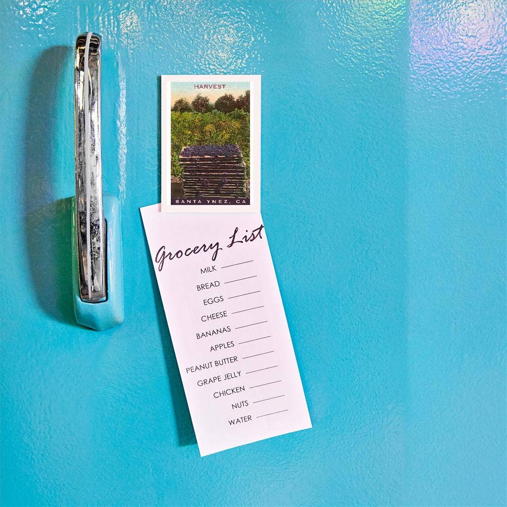 Found Image Press – Íman por atacado – Magneto CA-1128 Vindima, Santa Ynez, Califórnia1