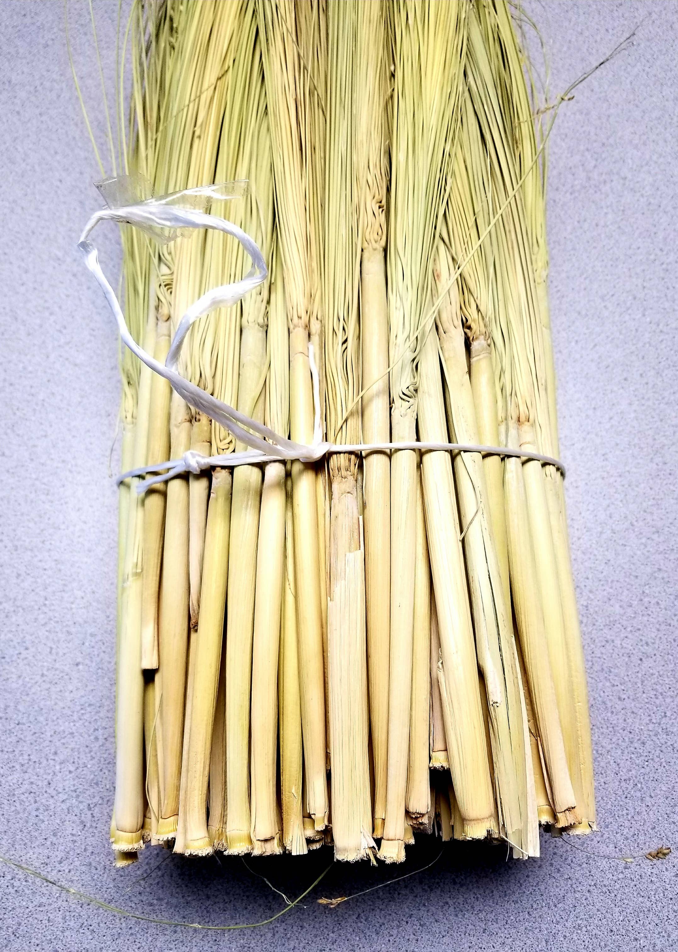 Parker Homestead - Wholesale Craft Supplies - Craft Broom Corn1