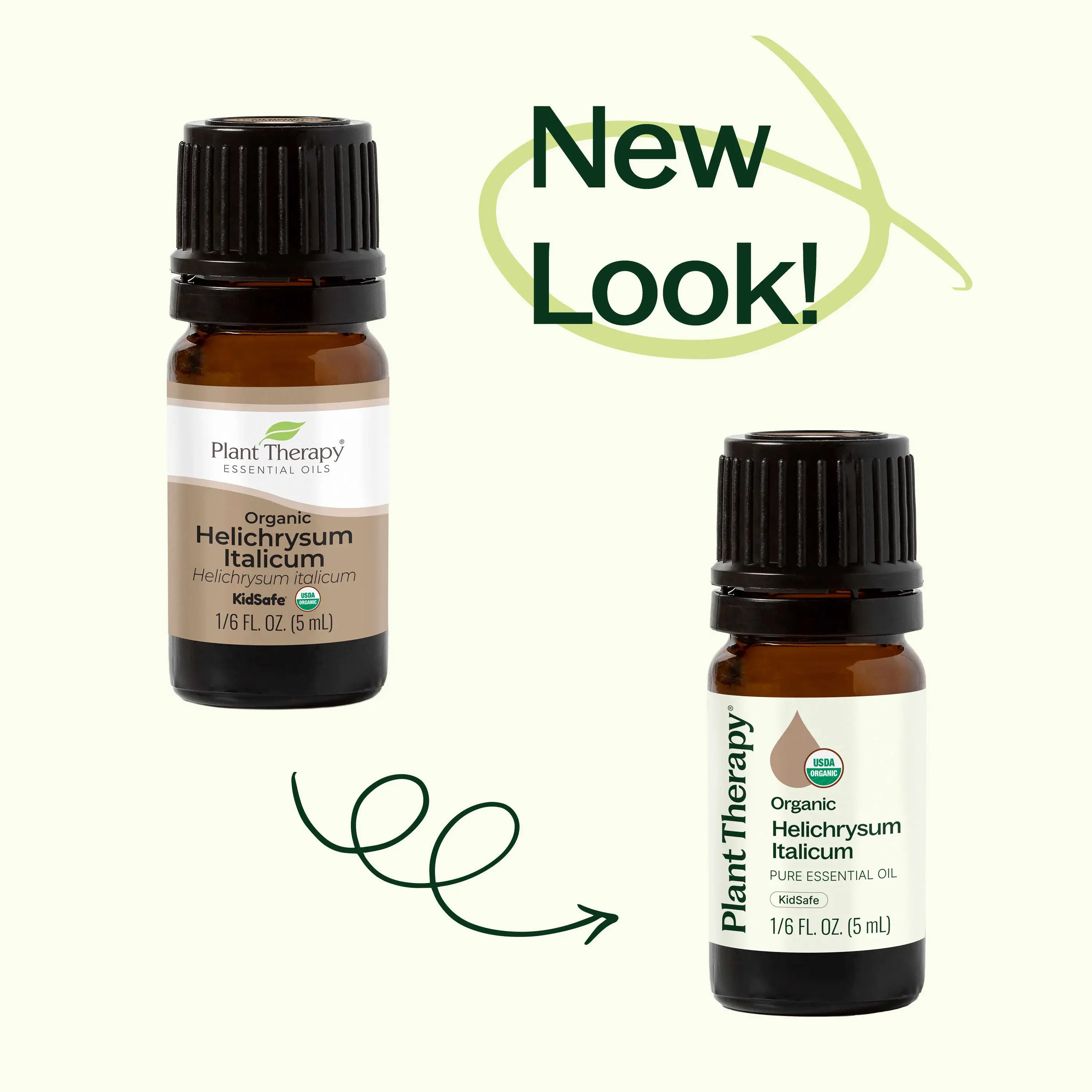 Plant Therapy - Wholesale Essential Oil - Organic Helichrysum Italicum Essential Oil 5 mL6