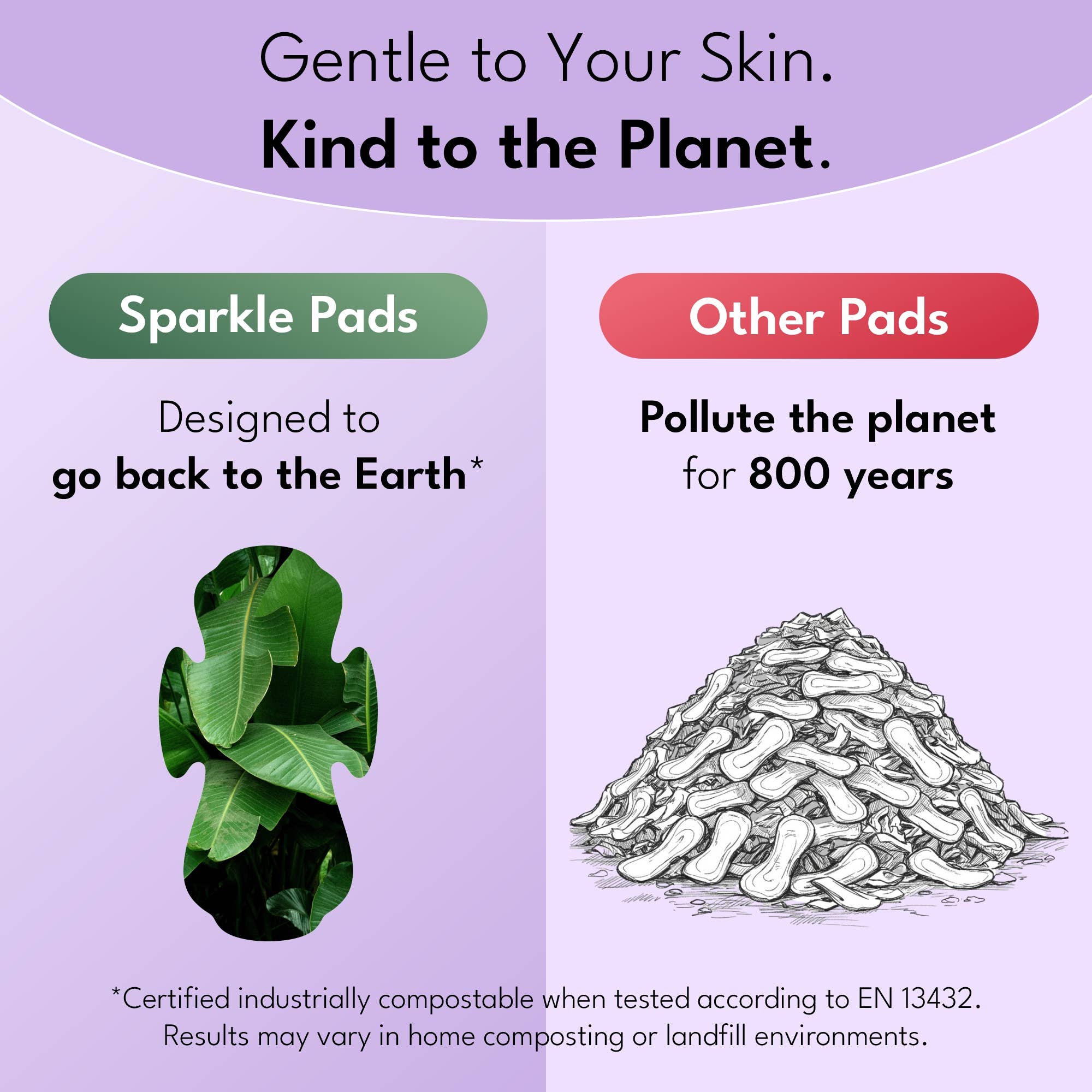 Sparkle - Wholesale Menstrual Pad/Liner - Sparkle Plant-based Maxi Pads - Regular 10ct - Light Days5