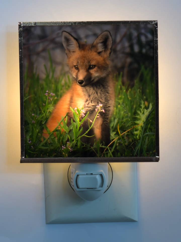 Fox Pups for wholesale by Solarography