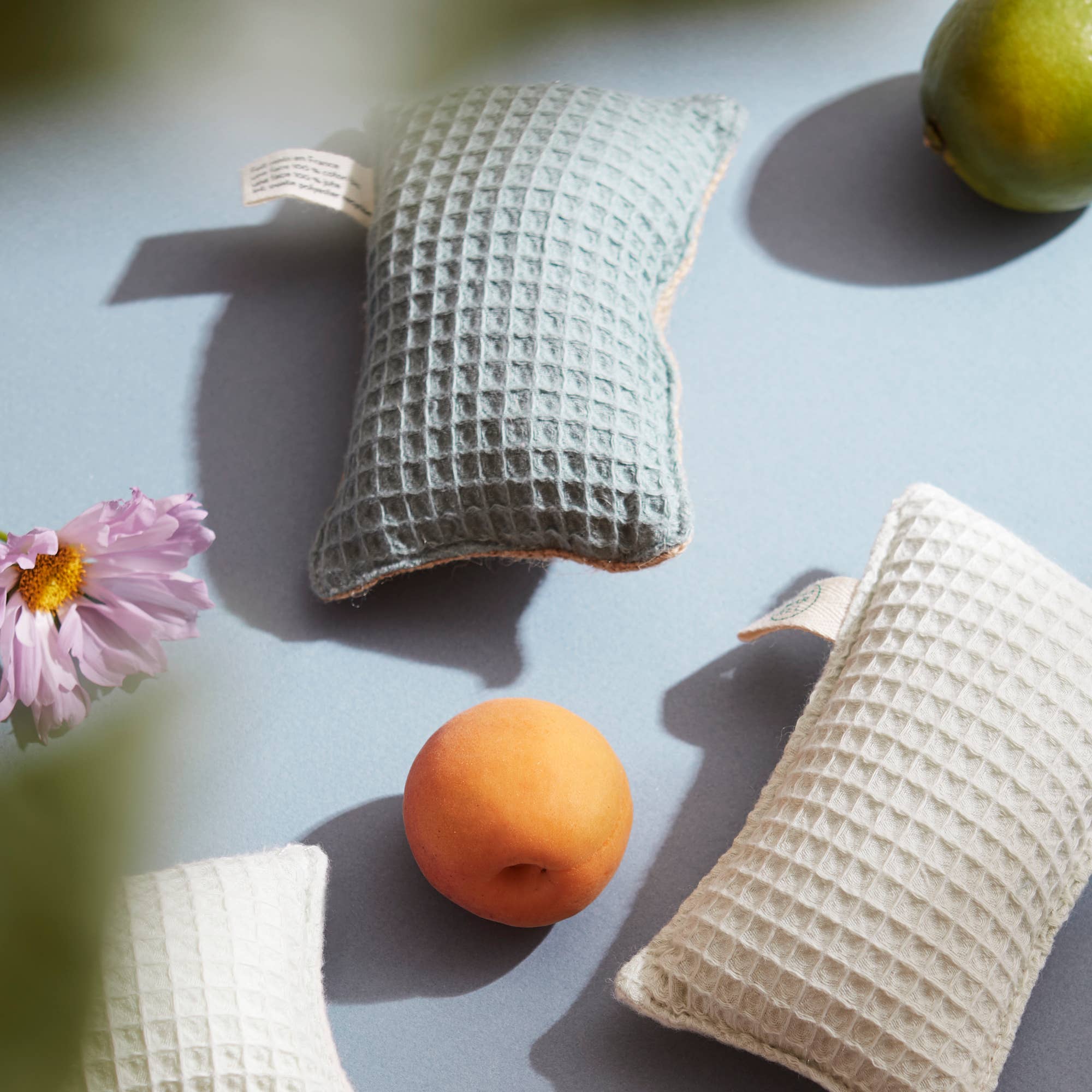 CHAMARREL – wholesale Rengöringssvamp – Tvättbar skrubbsvamp i 9 trendiga färger2