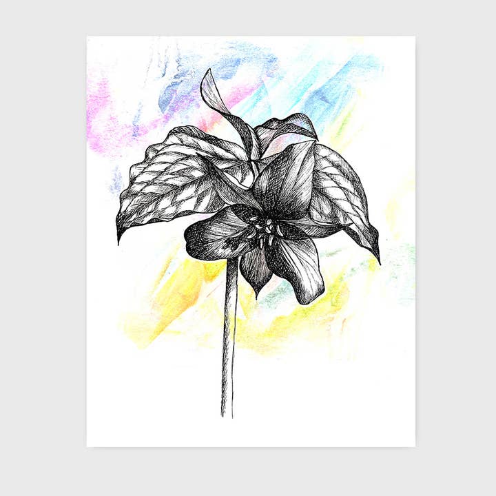 Red Trillium Art Print 8x10" for wholesale by Jeanelle Demers