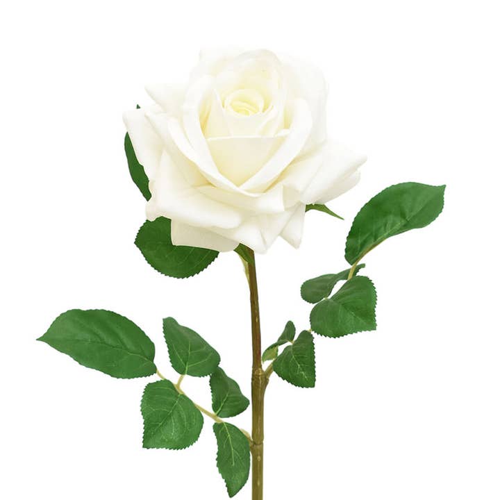 Aguilar Málaga - Wholesale Artificial Flowers - ROSE X1 TACT.NATURAL CREAM 63cm(11cm)0