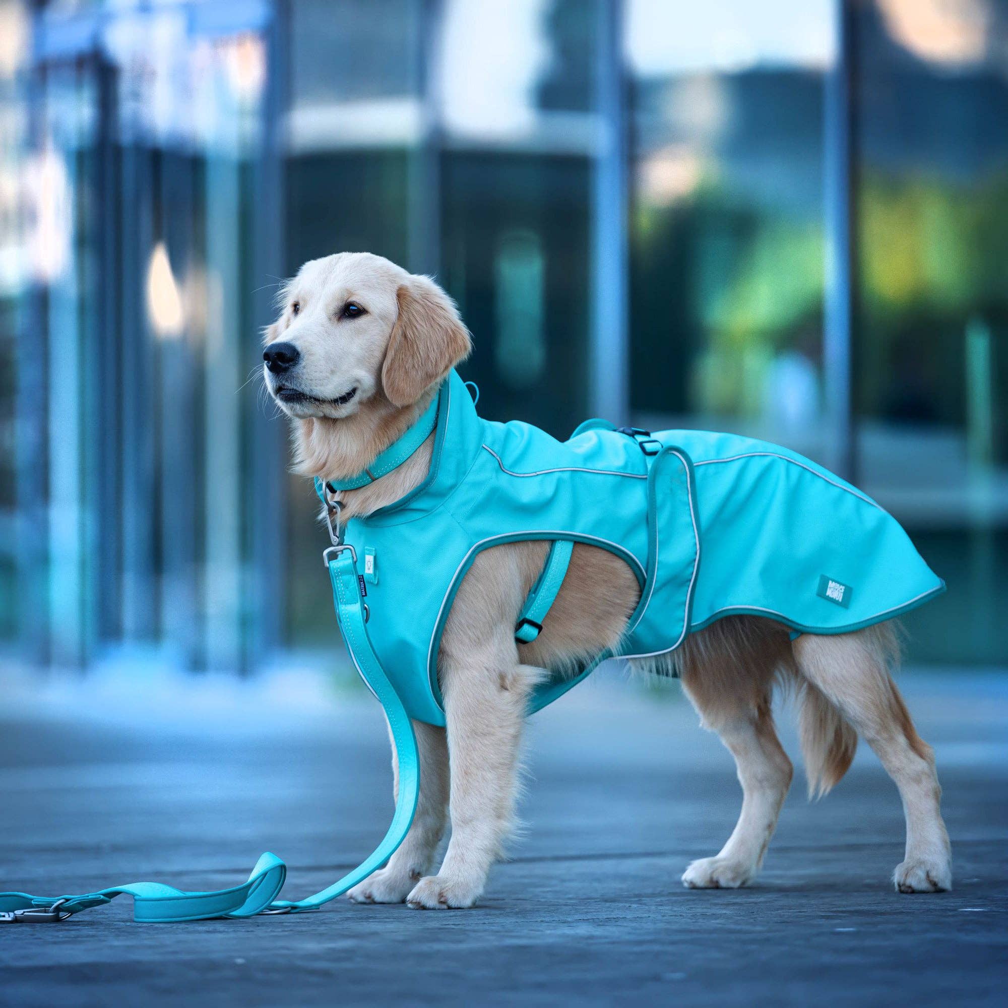 Max & Molly - Wholesale Pet Raincoat - Dog - Raincoat For Dogs - Matrix 2.0 Jade7