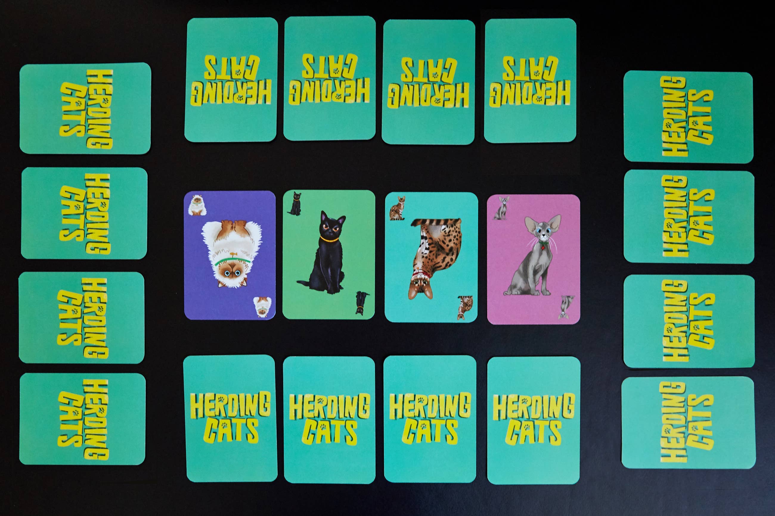 Clarendon Games USA - Vendita all'ingrosso Giochi di carte - Radunare i Gatti! Gioco di Carte per la Famiglia di Presa e Afferra6