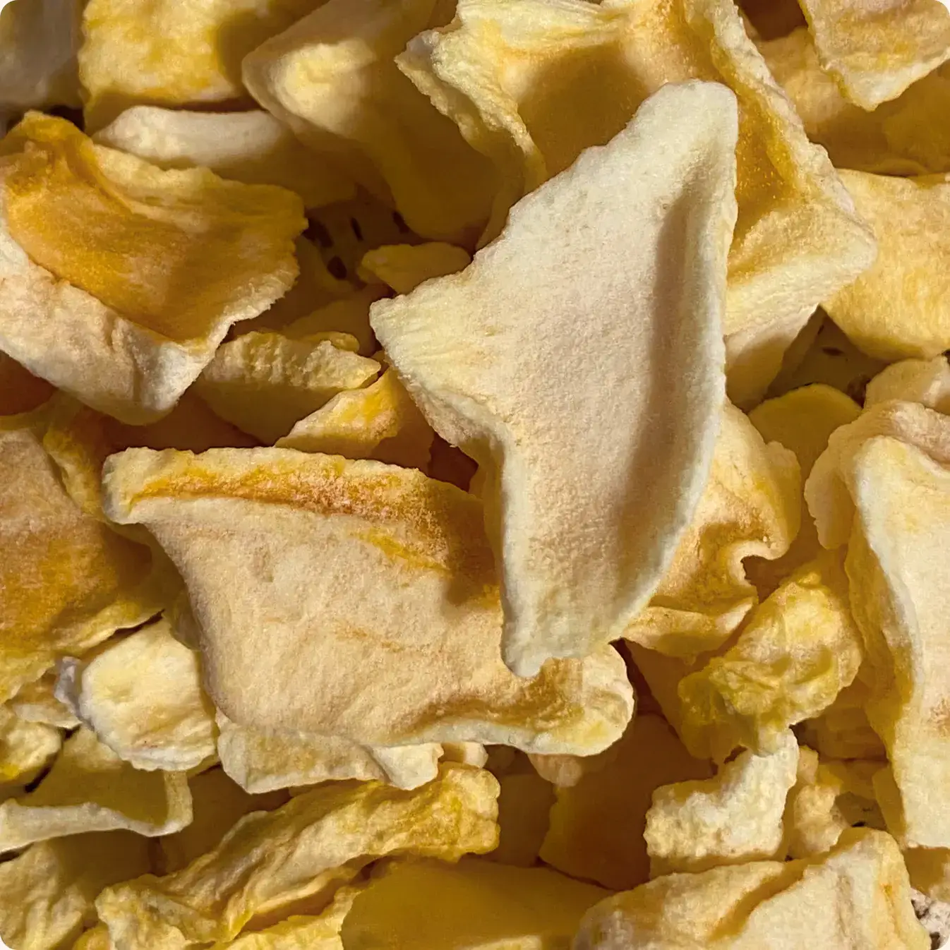 Organica – Großhandel Getrocknete/dehydrierte Früchte – Bio gefriergetrocknete Mangos Familie | Organica Food1