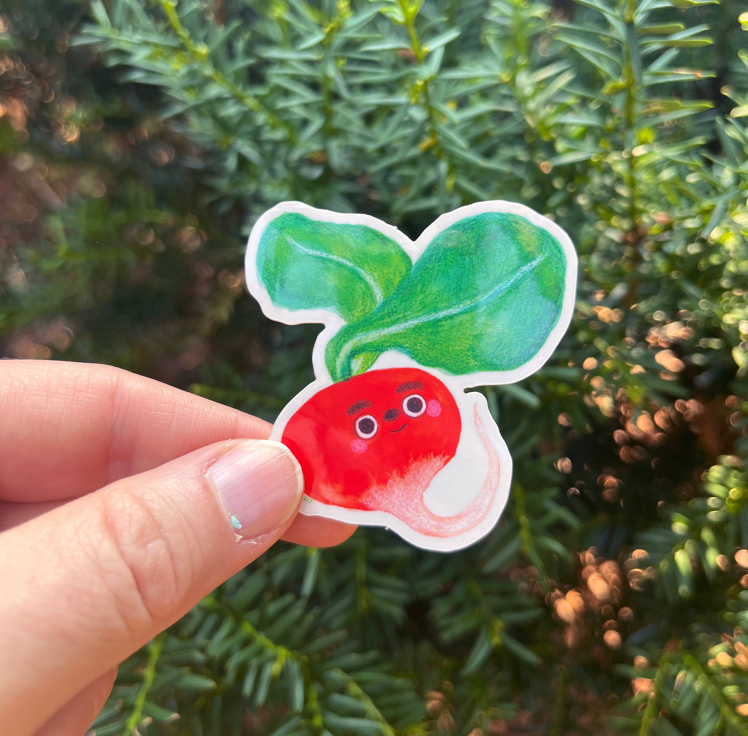 Masha Fikhman Art - Wholesale Sticker - Radish Sticker1