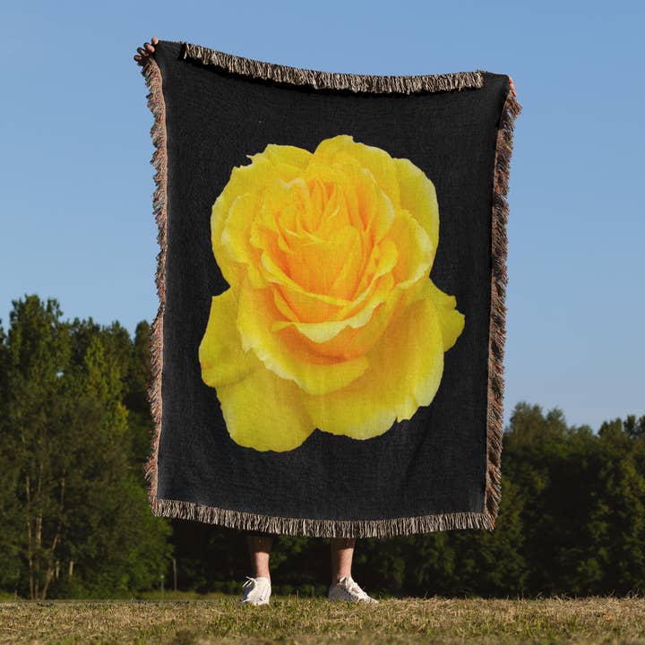 3dRose - Wholesale Throw Blanket - 3dRose, Yellow Rose Close up photograph ofyellow rose of texas isolated on black background, Blanket1