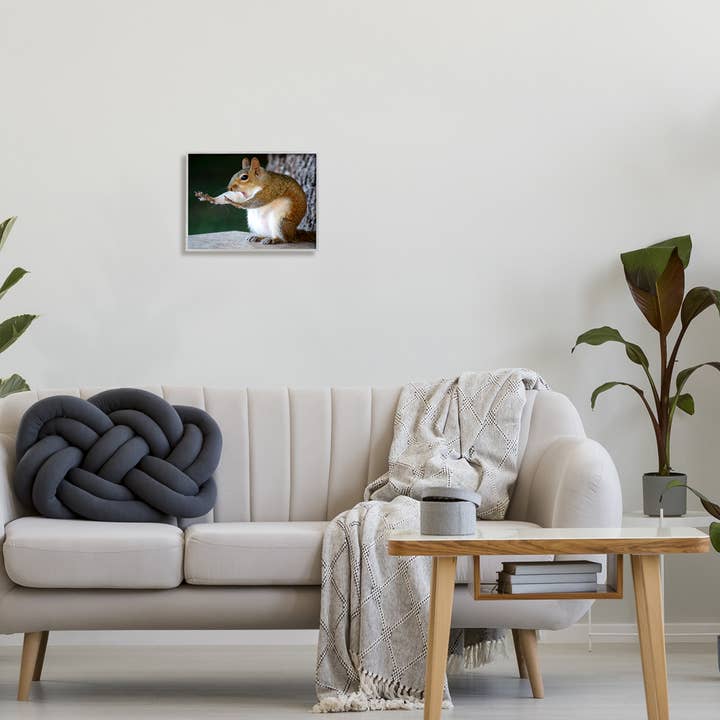 Stupell Industries – wholesale Art print – Funny Shocked Pose Squirrel Framed5