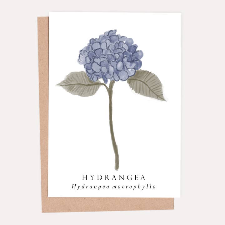 Biglietto di auguri botanico Hydrangea per la vendita all'ingrosso da parte di HeatherLucyJ Design