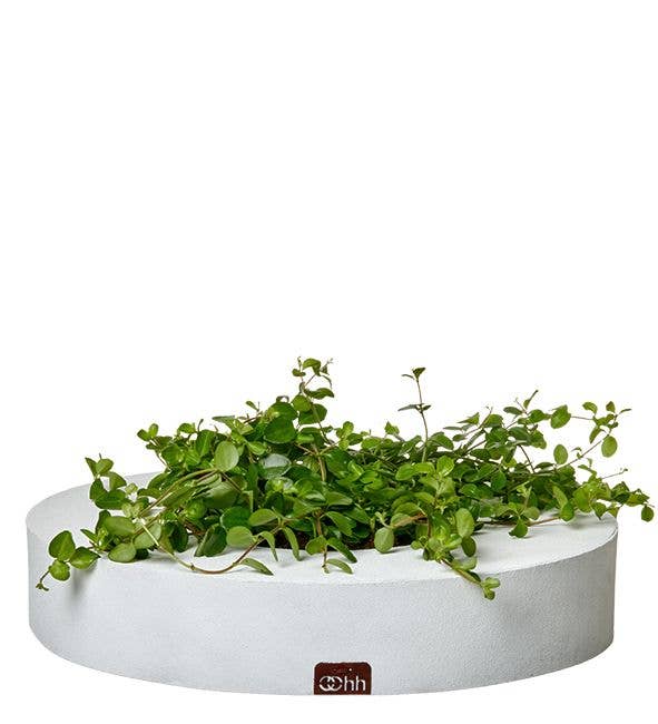 Lübech Living - Wholesale Decorative Tray - Dune Tray, White0