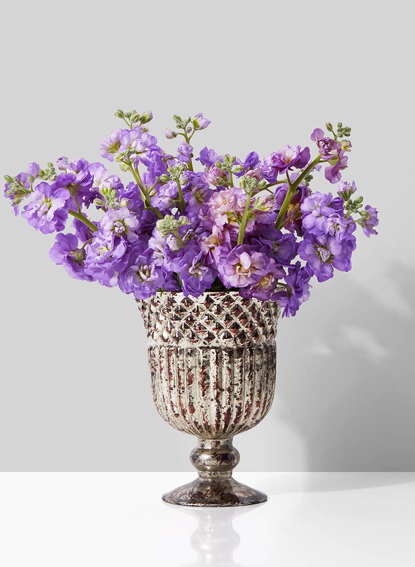 Jamali Garden - Wholesale Vase - Antique Silver Mercury Glass Compote, 4½ x 6in1