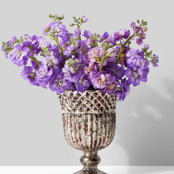 Jamali Garden - Wholesale Vase - Antique Silver Mercury Glass Compote, 4½ x 6in1