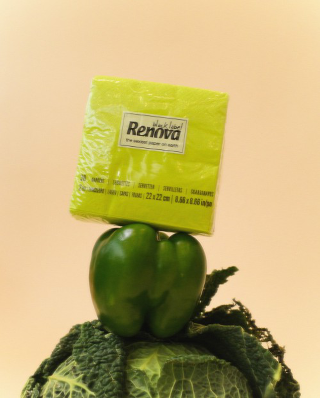 Renova - Wholesale Disposable Napkin - Cocktail Napkins RENOVA Green 3