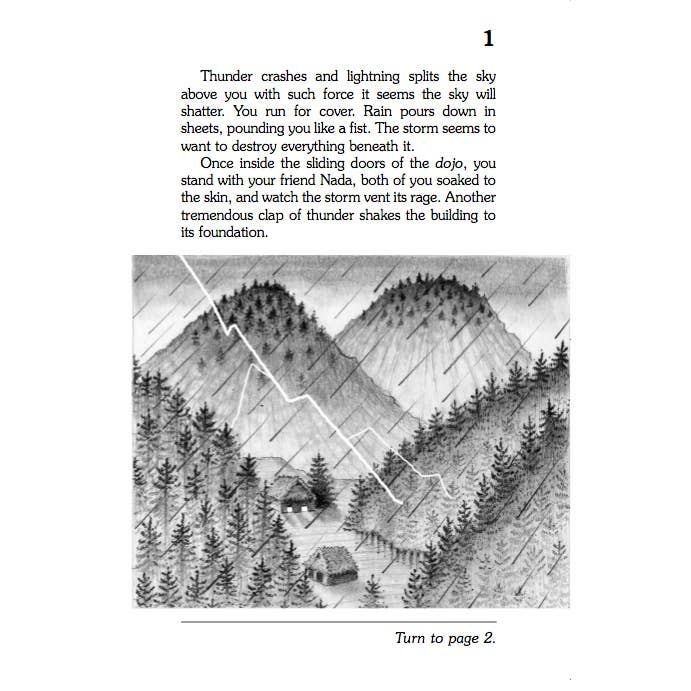 Choose Your Own Adventure - Vente Livre pour préadolescents (de 9 à 12 ans) - Le secret du ninja, livre pour enfants2