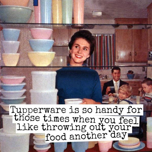Raven's Rest Studio - Wholesale Magnet - Fridge Magnet. Tupperware Is So Handy...