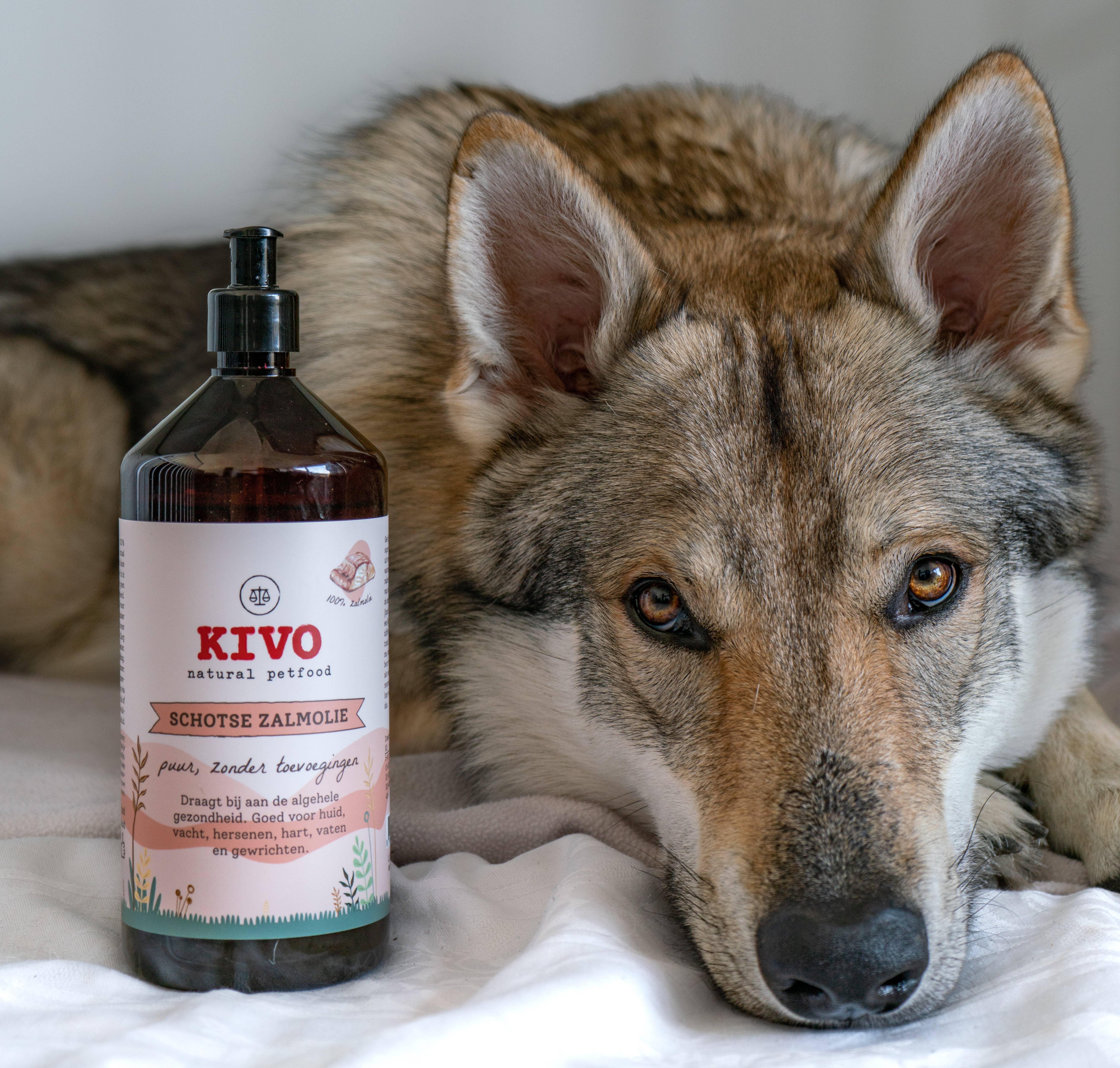Kivo Petfood - Vente Nourriture – chien - Huile de saumon écossais 100 %2
