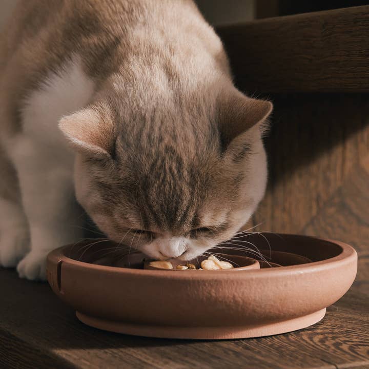 PINO - Wholesale Pet Bowl - Cat - Slow Feeder Bowl for Cats10
