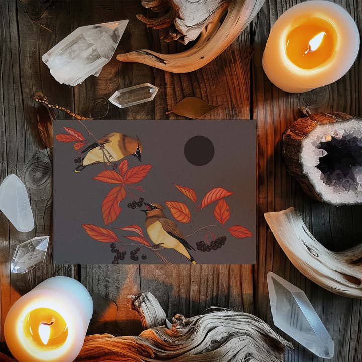 Cedar Waxwing & Chokecherry Card for wholesale by Black Moss Studio