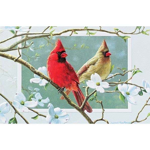 Cardinals In Dogwood - Deluxe for wholesale by Pumpernickel Press