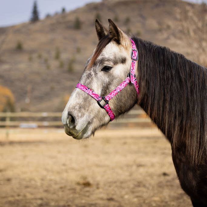 Schulz Equine - Wholesale Horseback Riding Gear - Nylon Halter - Horse Size27