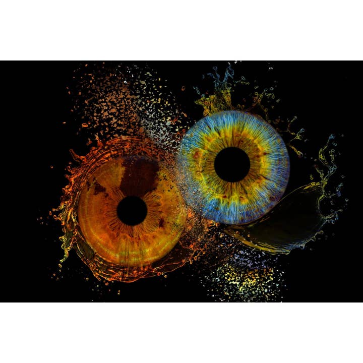 Medicinsk kontorkunst - IRIS FRAGMENTER for engroshandel hos Queence