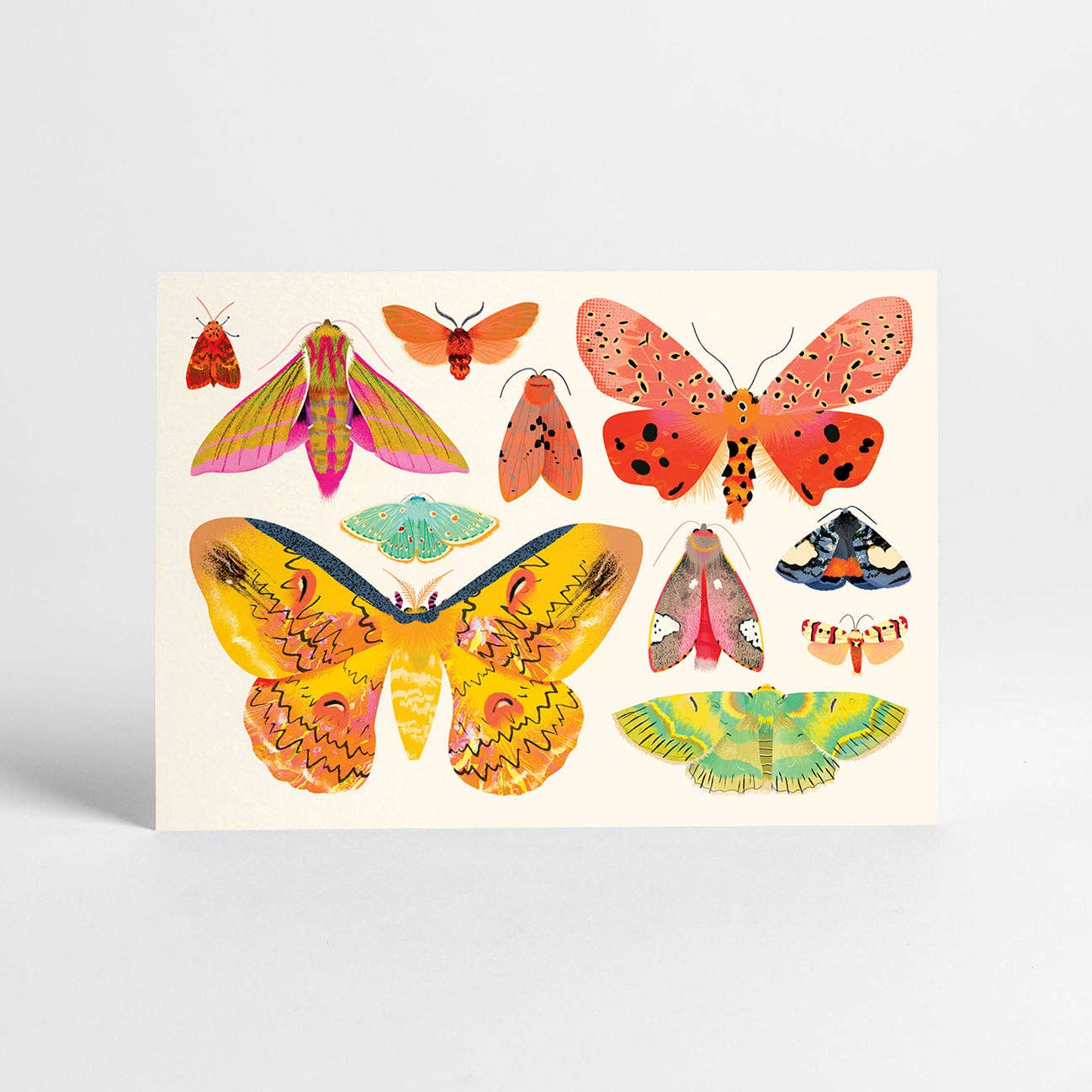 Sunny Beast - Venta al por mayor Juego de postales - 20 postales | Set en caja11