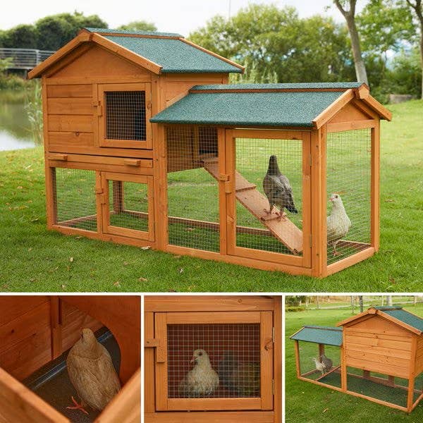 Caitec Inc - Wholesale Bird House - Featherland Paradise Outdoor Bird Habitat5