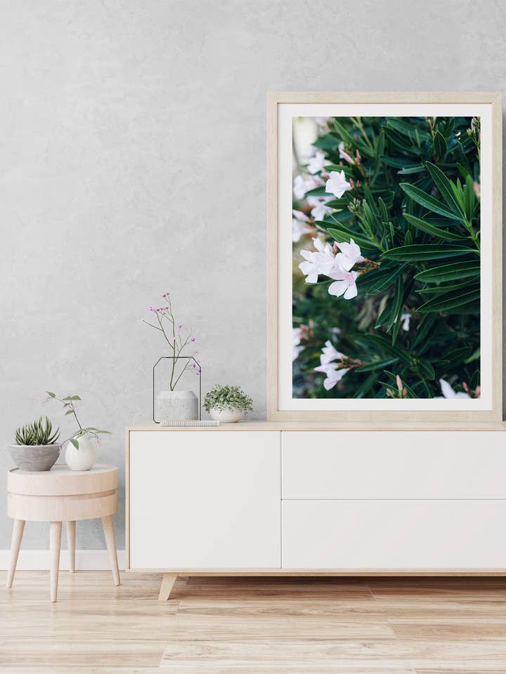 Rosa na manhã - fotografia de belas artes por atacado de The East Experience