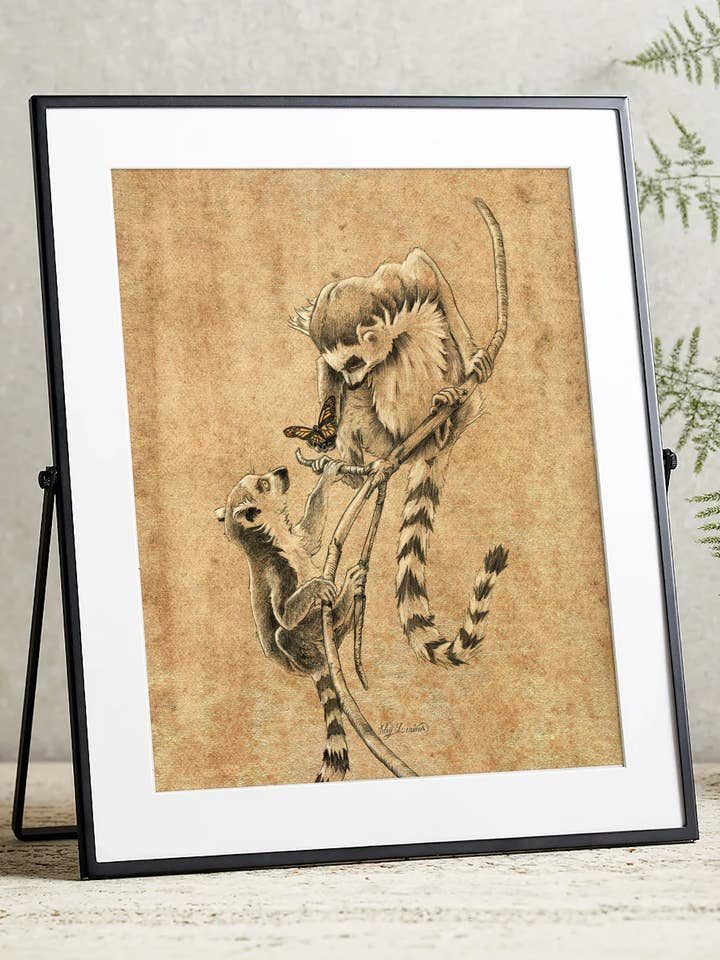 Lémuriens jouant avec un papillon 8 « x10" pour la vente par Meg Lemieur Art