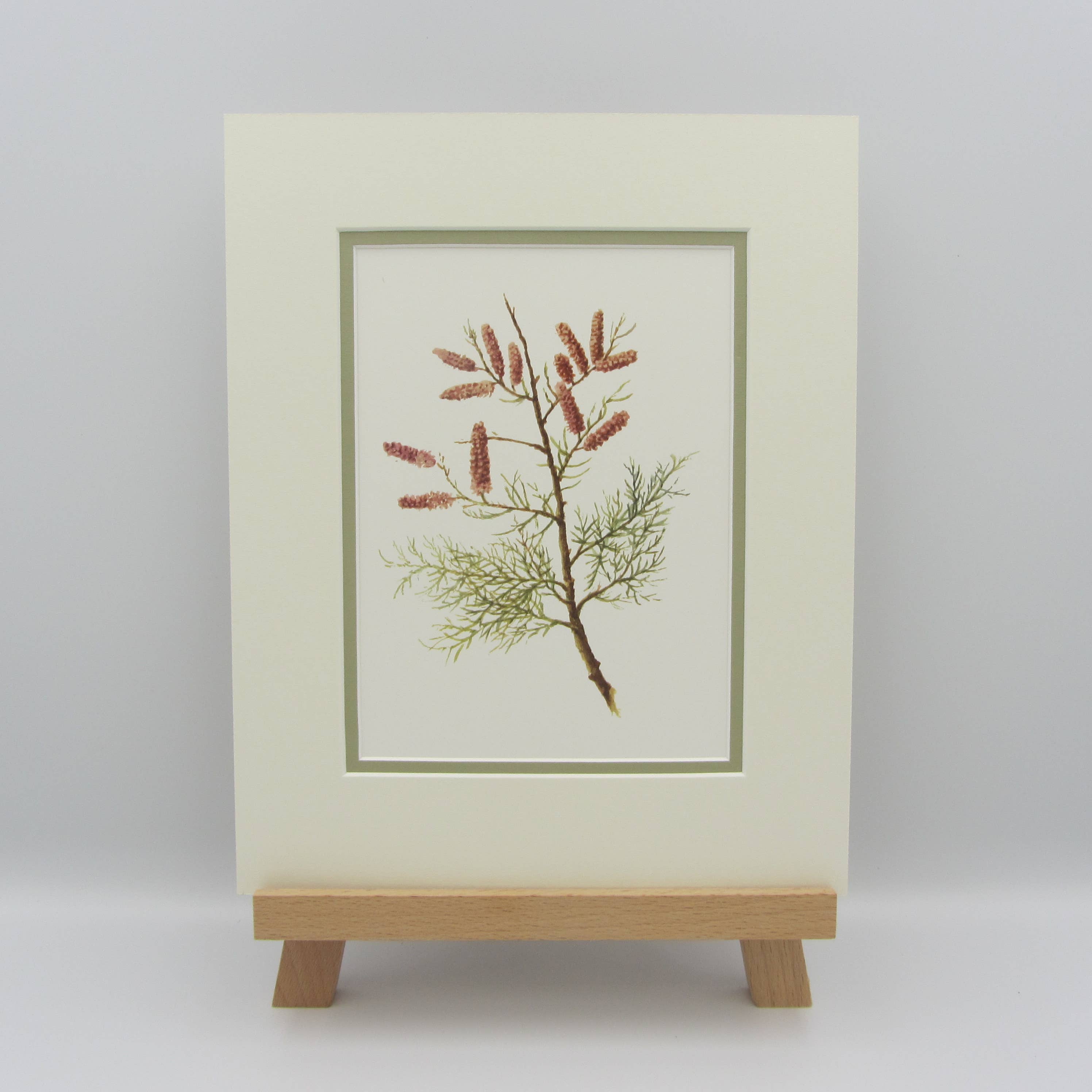 Sophia Davenport - Wholesale Art Print - Wildflower Watercolour Mounted A5 Prints8