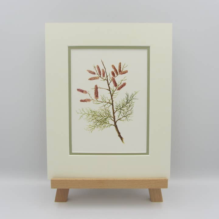 Sophia Davenport - Wholesale Art Print - Wildflower Watercolour Mounted A5 Prints8