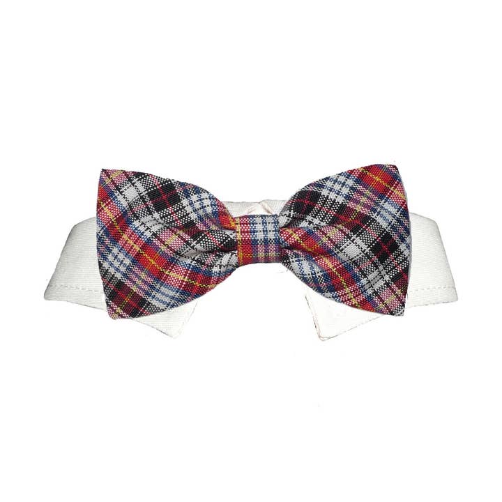 Samuel Bow Tie for wholesale by Pooch Outfitters