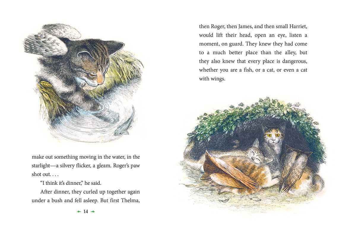 Simon & Schuster - Wholesale Early Reader Book (6-8) - Catwings by Ursula  K. Le Guin6