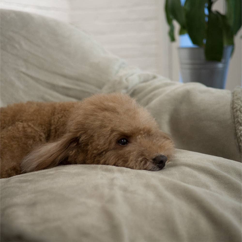 PetAmi – wholesale Pet blanket – Cat/dog – Waterproof Fleece Pet Blanket119