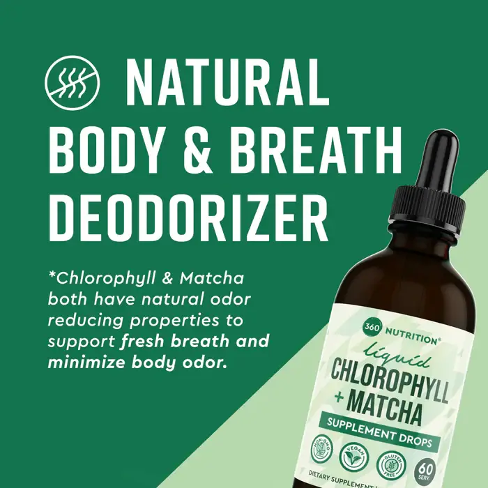 360 Nutriton - Wholesale Oral Supplement/Vitamin - Chlorophyll + Matcha Drops 4 fl oz2