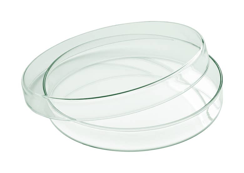 Bauscher Hepp - Wholesale Bowl - Mini Glass Bowl0