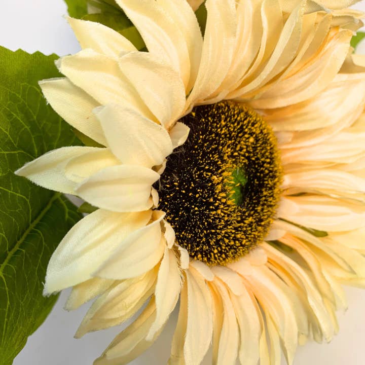 David Christopher's Collection - Wholesale Artificial Flowers - Kansas Sunflower Bundle x 4 - Soft Cream 13"2