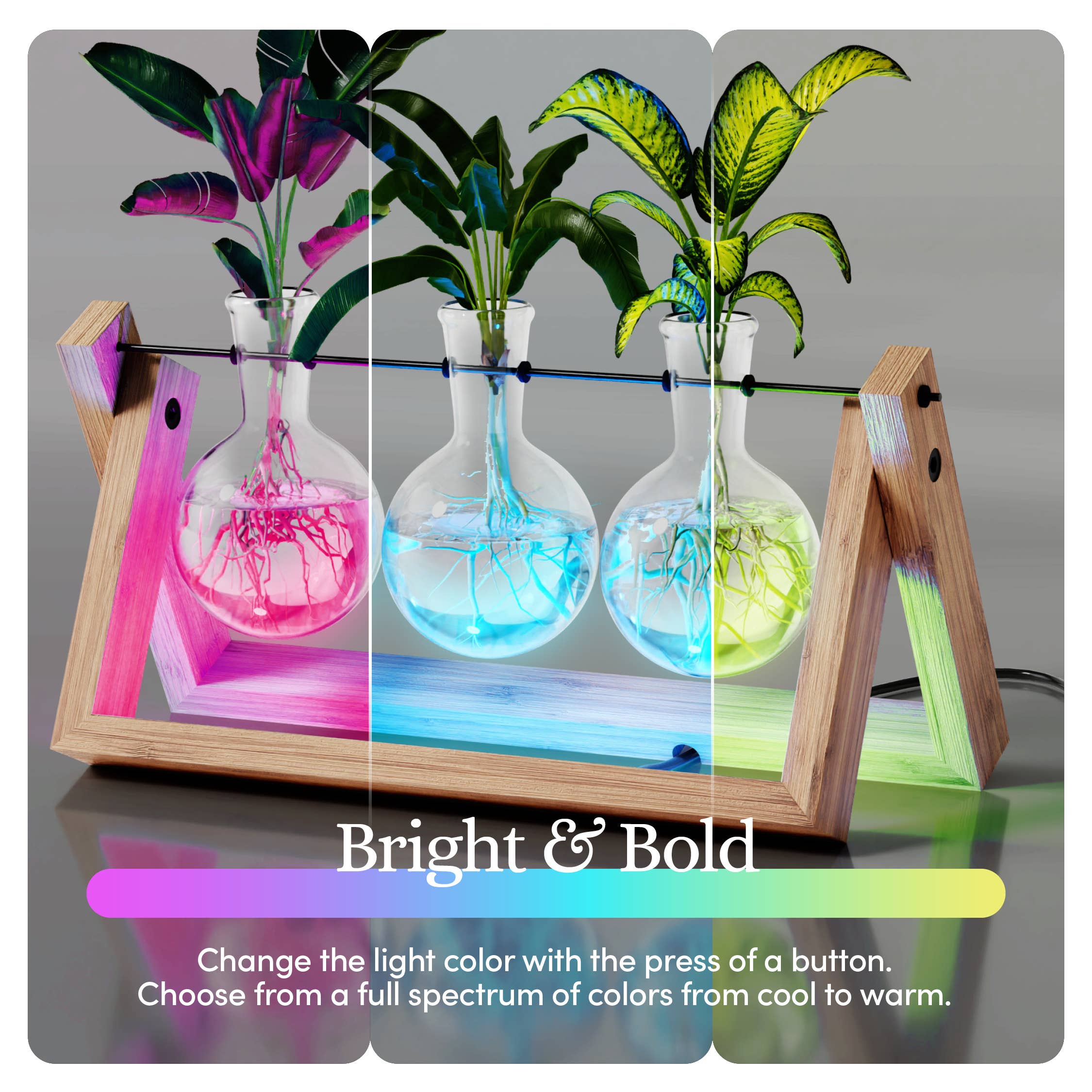 Planter's Choice - Wholesale Planter Box - Light Up Bamboo Air Planter - Plant Lover Gifts for Women4