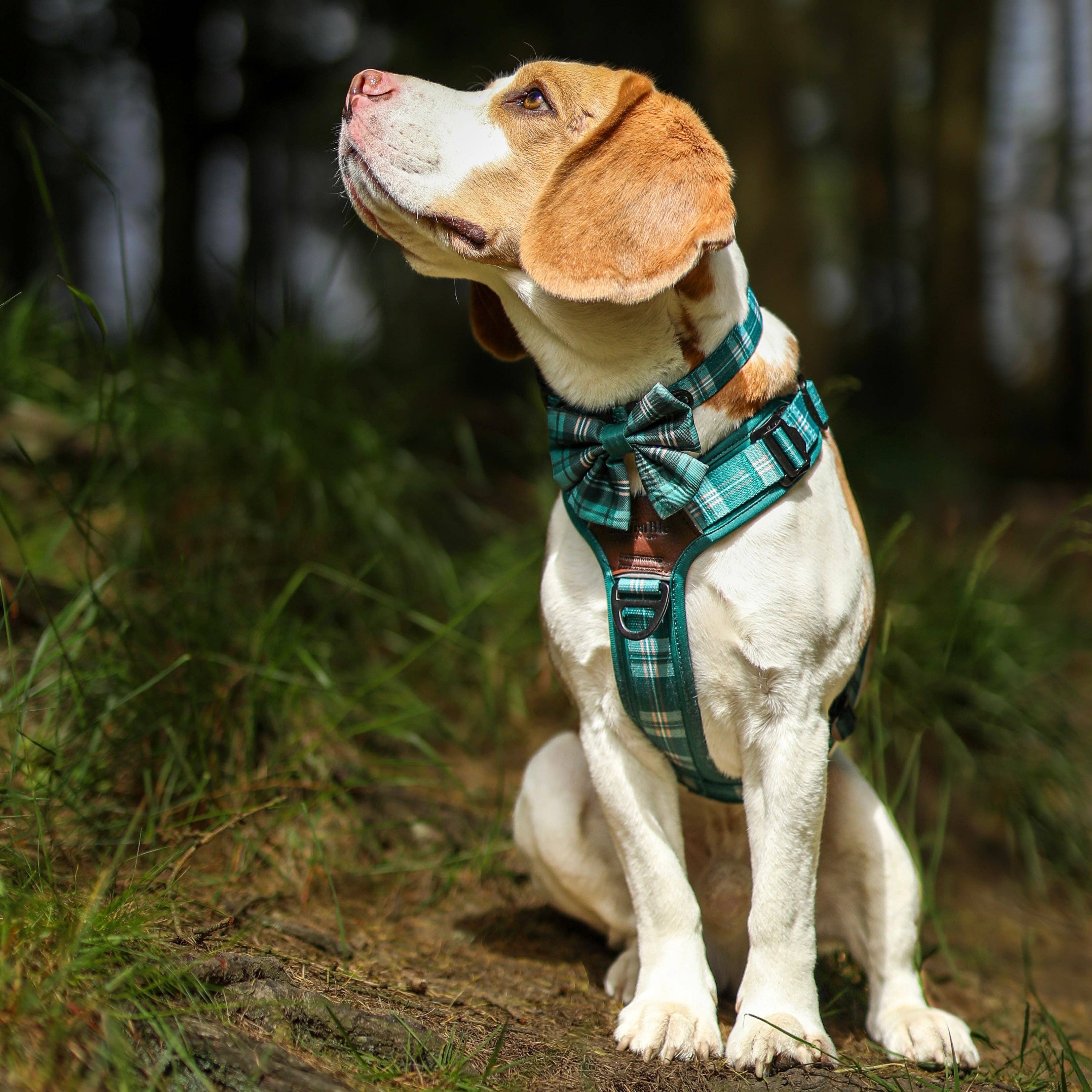 The aDoraBle Pooch Company - Wholesale Pet Bow Tie - Dog - Dog Sailor Bow Tie - Heritage Pheasant Green2