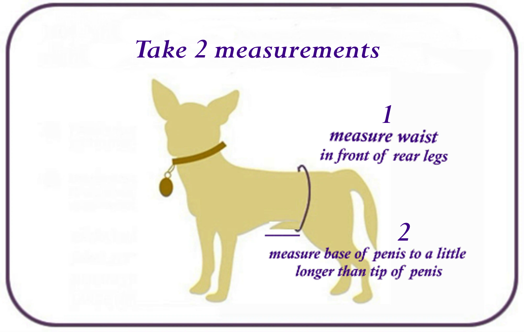 Whiskers 'n Paws Unique Pet Gifts, LLC – Großhandel Haustier-Bandana – Hund – Bauchband für männlichen Hund, Senioren, Töpfchentraining, Schnallenverschluss7