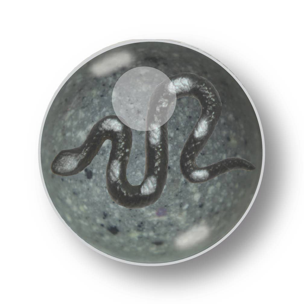 Deluxebase – wholesale Party gift – Mega Bounce - Snake Bouncy Ball2