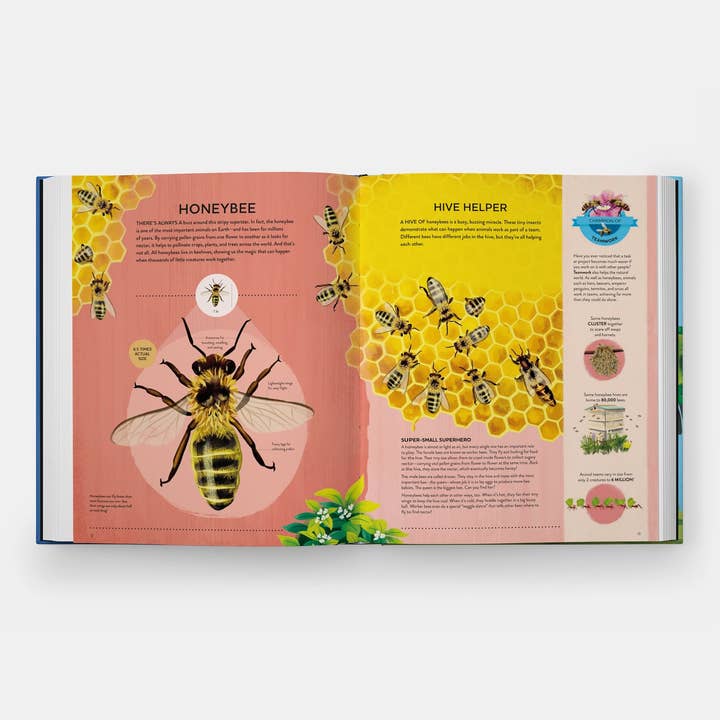 Phaidon - Wholesale Book - Kids - Nature's Tiny Champions: The Big Book of Little Creatures