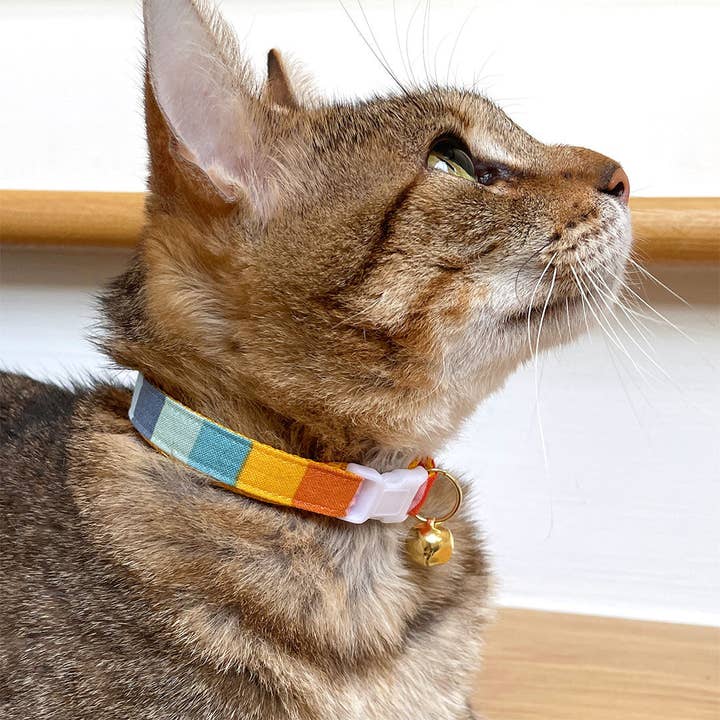 Made By Cleo - Venta al por mayor Collar - Gatos - Collar de gato arcoíris a rayas «Carousel»3