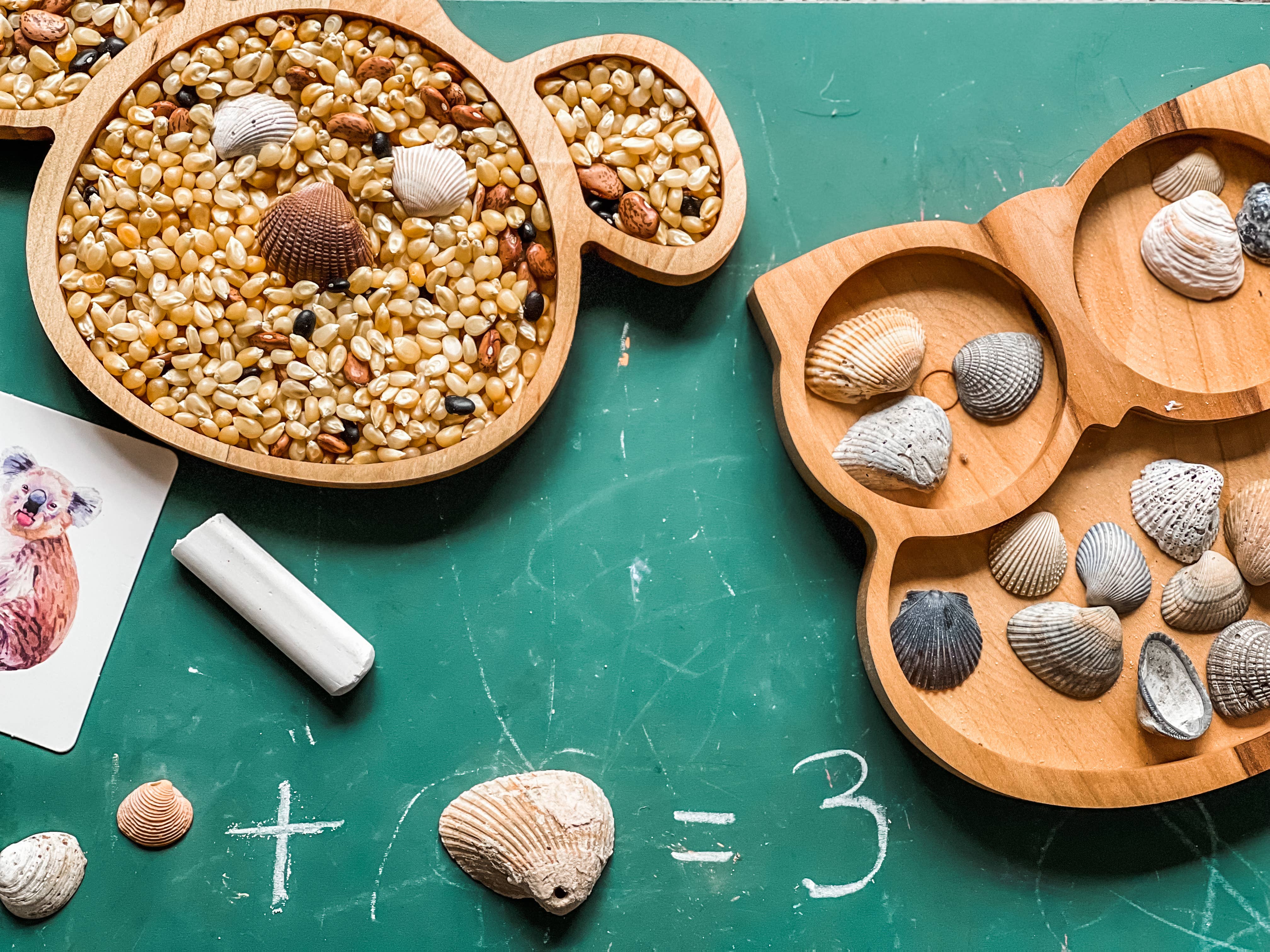 Troyohouse – wholesale Tallrikar - Barn och baby – Trä Koala Småbarn tallrik - sensoriska fack3